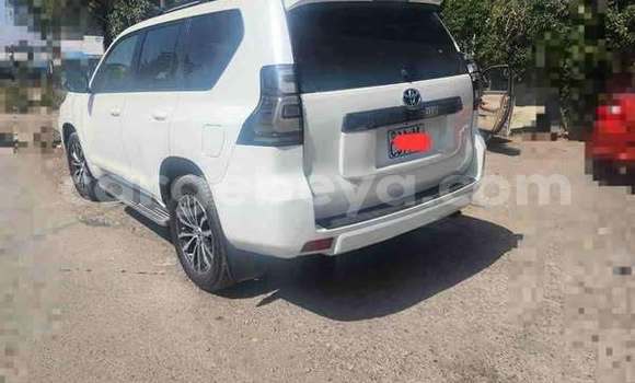 Buy Used Toyota Prado Other Car in Addis–Ababa in Ethiopia