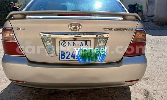 Buy Used Toyota Corolla Other Car in Addis–Ababa in Ethiopia Buy Used Toyota Corolla Other Car in Addis–Ababa in Ethiopia