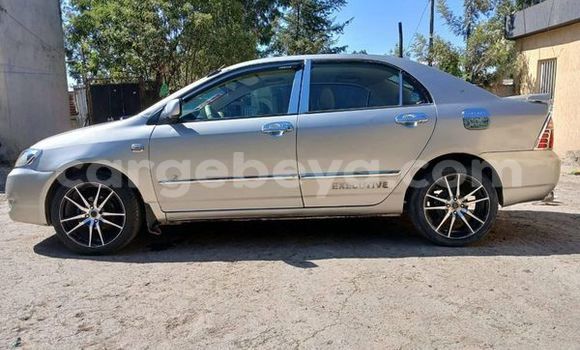 Buy Used Toyota Corolla Other Car in Addis–Ababa in Ethiopia Buy Used Toyota Corolla Other Car in Addis–Ababa in Ethiopia