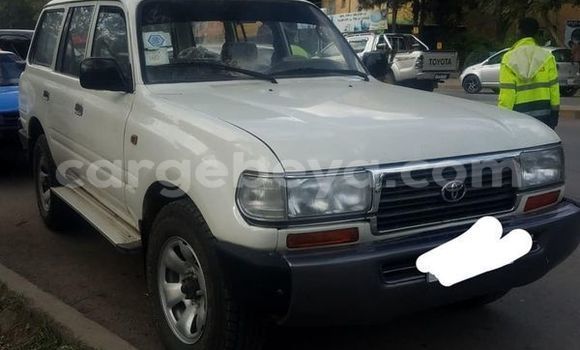 Buy Used Toyota Land Cruiser Other Car in Addis–Ababa in Ethiopia Buy Used Toyota Land Cruiser Other Car in Addis–Ababa in Ethiopia
