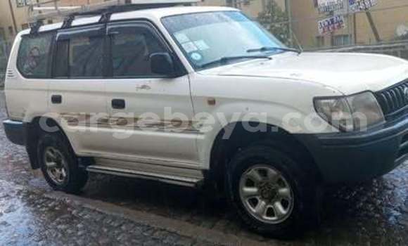Buy Used Toyota Prado Other Car in Addis–Ababa in Ethiopia Buy Used Toyota Prado Other Car in Addis–Ababa in Ethiopia