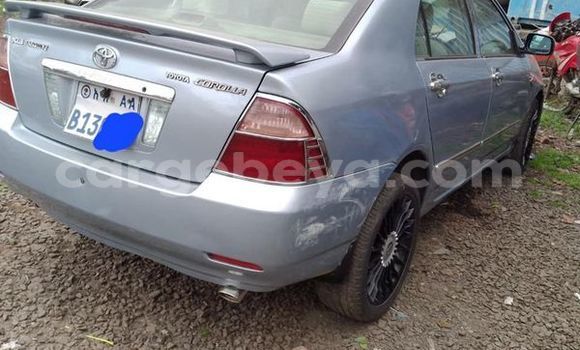 Buy Used Toyota Corolla Other Car in Addis–Ababa in Ethiopia Buy Used Toyota Corolla Other Car in Addis–Ababa in Ethiopia