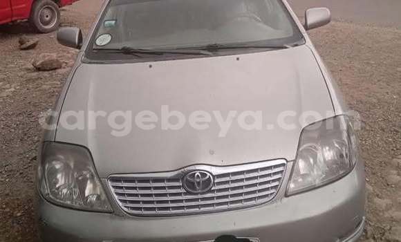 Buy Used Toyota Corolla Other Car in Addis–Ababa in Ethiopia Buy Used Toyota Corolla Other Car in Addis–Ababa in Ethiopia