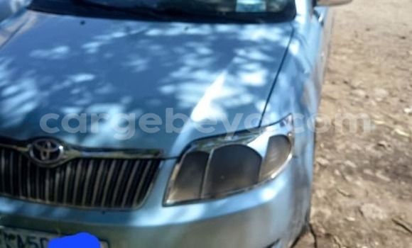 Buy Used Toyota Corolla Other Car in Addis–Ababa in Ethiopia Buy Used Toyota Corolla Other Car in Addis–Ababa in Ethiopia