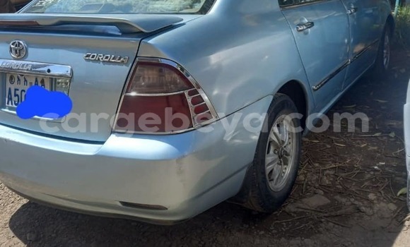 Buy Used Toyota Corolla Other Car in Addis–Ababa in Ethiopia Buy Used Toyota Corolla Other Car in Addis–Ababa in Ethiopia