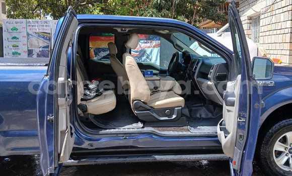 Acheter Occasion Voiture Ford F–150 Autre à Addis Ababa, Ethiopie