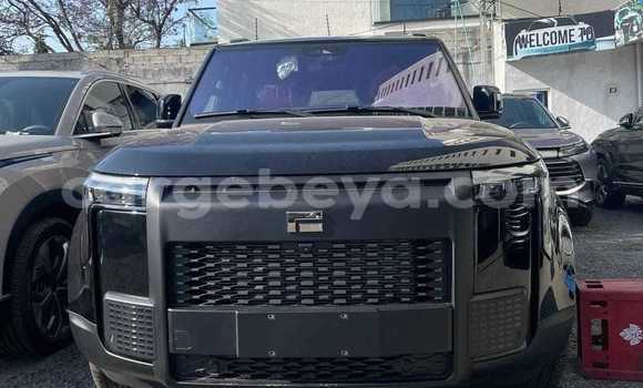 Acheter Occasion Voiture SsangYong Istana Noir à Addis Ababa, Ethiopie Acheter Occasion Voiture SsangYong Istana Noir à Addis Ababa, Ethiopie