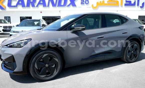 Acheter Occasion Voiture Volkswagen Iltis Autre à Addis Ababa, Ethiopie Acheter Occasion Voiture Volkswagen Iltis Autre à Addis Ababa, Ethiopie