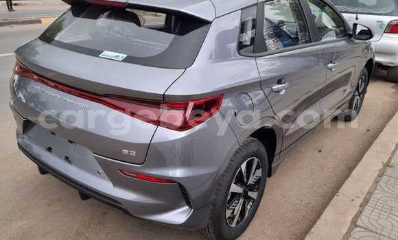 Acheter Occasion Voiture BYD E6 Autre à Addigrat, Tigray Acheter Occasion Voiture BYD E6 Autre à Addigrat, Tigray