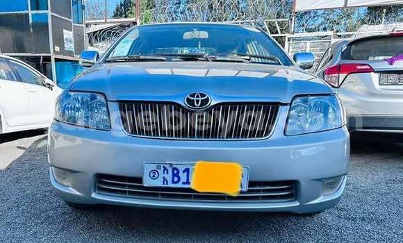 Buy Used Toyota Corolla Other Car in Addis–Ababa in Ethiopia