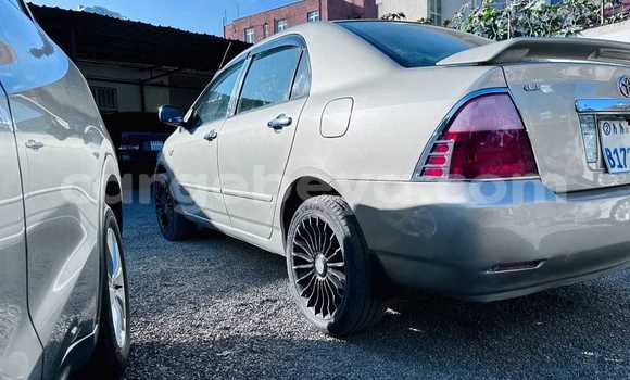 Acheter Occasion Voiture Toyota Corolla Autre à Addis Ababa, Ethiopie Acheter Occasion Voiture Toyota Corolla Autre à Addis Ababa, Ethiopie