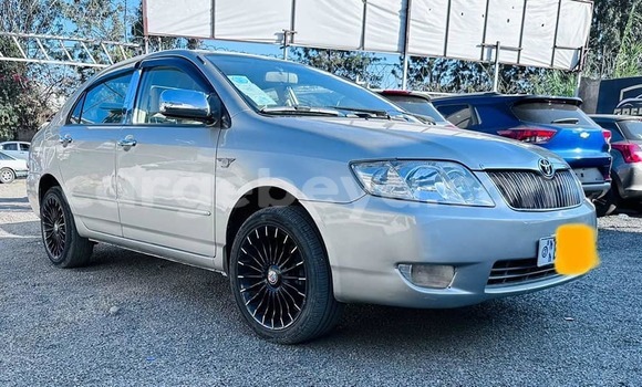 Acheter Occasion Voiture Toyota Corolla Autre à Addis Ababa, Ethiopie Acheter Occasion Voiture Toyota Corolla Autre à Addis Ababa, Ethiopie