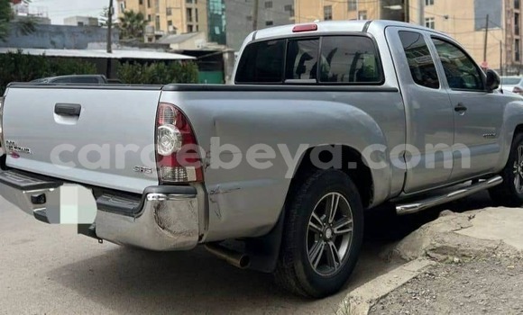 Acheter Occasion Voiture Toyota Tacoma Autre à Addis Ababa, Ethiopie Acheter Occasion Voiture Toyota Tacoma Autre à Addis Ababa, Ethiopie