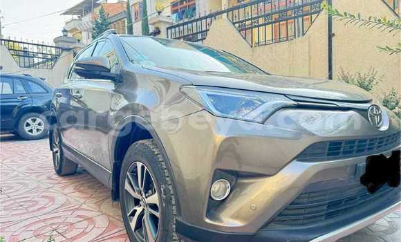 ይግዙ ያገለገለ Toyota RAV4 ሌላ መኪና በ አዲስ አበባ በ ኢትዮጵያ ይግዙ ያገለገለ Toyota RAV4 ሌላ መኪና በ አዲስ አበባ በ ኢትዮጵያ