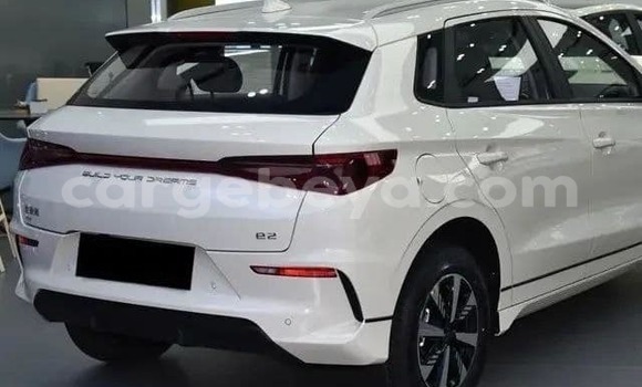 Buy Used BYD E6 White Car in Addis–Ababa in Ethiopia Buy Used BYD E6 White Car in Addis–Ababa in Ethiopia