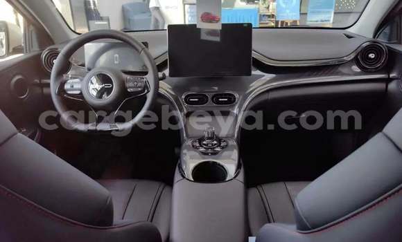 Buy Used BYD E6 White Car in Addis–Ababa in Ethiopia Buy Used BYD E6 White Car in Addis–Ababa in Ethiopia