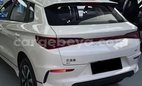 Buy Used BYD E6 White Car in Addis–Ababa in Ethiopia Buy Used BYD E6 White Car in Addis–Ababa in Ethiopia