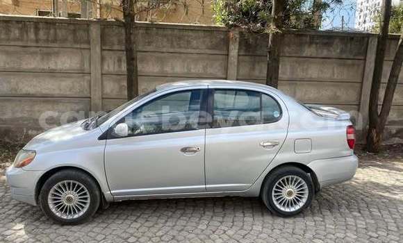 Buy Used Toyota Platz Other Car in Addis–Ababa in Ethiopia Buy Used Toyota Platz Other Car in Addis–Ababa in Ethiopia