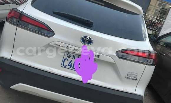 Buy Used Toyota Corolla Other Car in Addis–Ababa in Ethiopia Buy Used Toyota Corolla Other Car in Addis–Ababa in Ethiopia
