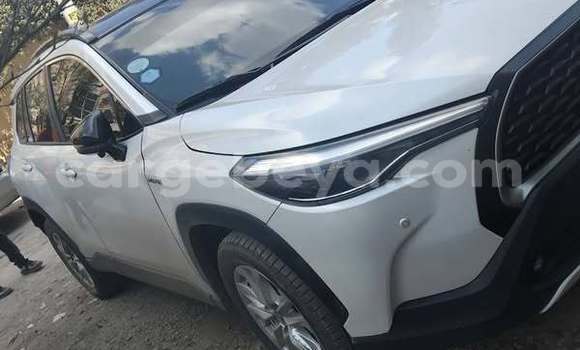Buy Used Toyota Corolla Other Car in Addis–Ababa in Ethiopia Buy Used Toyota Corolla Other Car in Addis–Ababa in Ethiopia