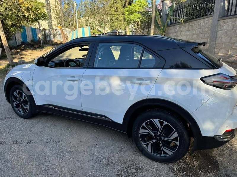 Big with watermark nash ambassador ethiopia addis ababa 12143