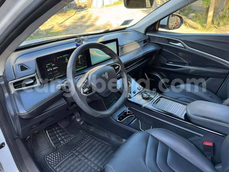 Big with watermark nash ambassador ethiopia addis ababa 12143