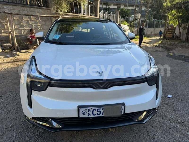 Big with watermark nash ambassador ethiopia addis ababa 12143