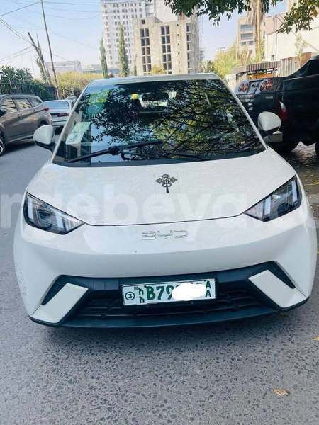 Big with watermark byd s6 ethiopia addis ababa 12148