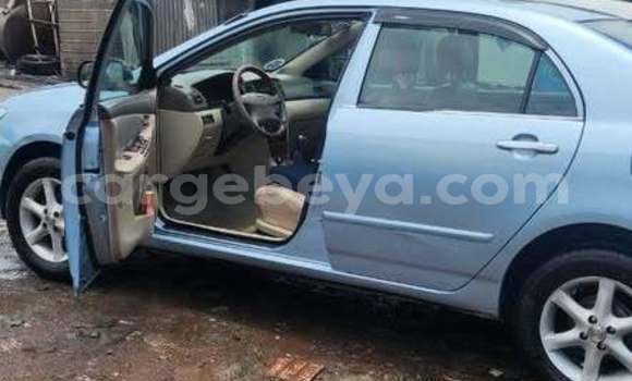 Buy Used Toyota Corolla Other Car in Addis–Ababa in Ethiopia Buy Used Toyota Corolla Other Car in Addis–Ababa in Ethiopia