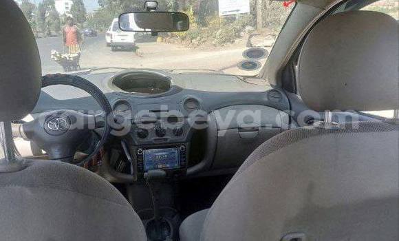 Buy Used Toyota Platz Other Car in Addis–Ababa in Ethiopia Buy Used Toyota Platz Other Car in Addis–Ababa in Ethiopia