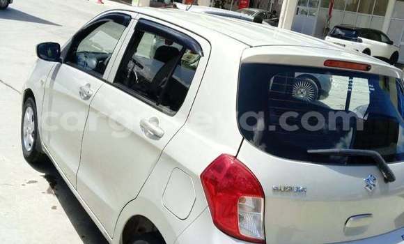 Buy Used Suzuki Celerio White Car in Addis–Ababa in Ethiopia Buy Used Suzuki Celerio White Car in Addis–Ababa in Ethiopia