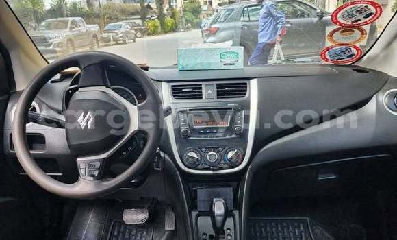 Buy Used Suzuki Celerio Other Car in Addis–Ababa in Ethiopia Buy Used Suzuki Celerio Other Car in Addis–Ababa in Ethiopia