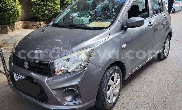 Buy Used Suzuki Celerio Other Car in Addis–Ababa in Ethiopia Buy Used Suzuki Celerio Other Car in Addis–Ababa in Ethiopia