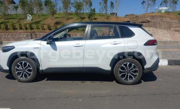 Buy Used Toyota FJ Cruiser White Car in Addis–Ababa in Ethiopia Buy Used Toyota FJ Cruiser White Car in Addis–Ababa in Ethiopia