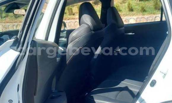 Buy Used Toyota FJ Cruiser White Car in Addis–Ababa in Ethiopia Buy Used Toyota FJ Cruiser White Car in Addis–Ababa in Ethiopia