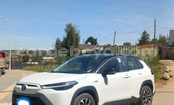 Buy Used Toyota FJ Cruiser White Car in Addis–Ababa in Ethiopia Buy Used Toyota FJ Cruiser White Car in Addis–Ababa in Ethiopia