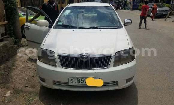 Buy Used Toyota Corolla White Car in Addis–Ababa in Ethiopia