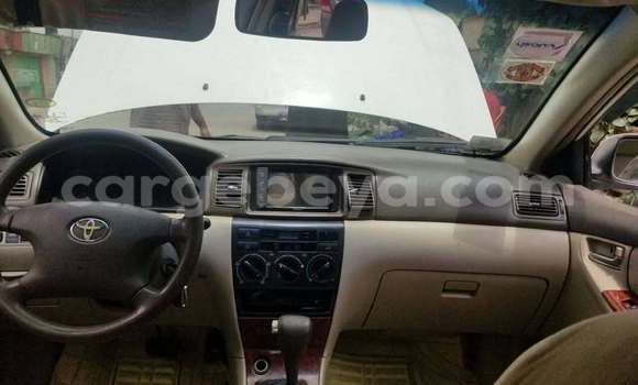 Buy Used Toyota Corolla White Car in Addis–Ababa in Ethiopia Buy Used Toyota Corolla White Car in Addis–Ababa in Ethiopia