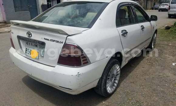Buy Used Toyota Corolla White Car in Addis–Ababa in Ethiopia Buy Used Toyota Corolla White Car in Addis–Ababa in Ethiopia
