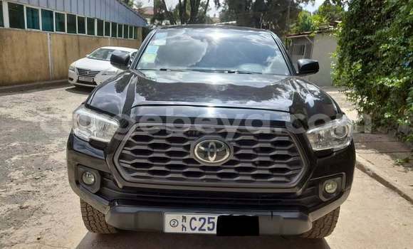 ይግዙ ያገለገለ Toyota Tacoma ጥቁር መኪና በ አዲስ አበባ በ ኢትዮጵያ