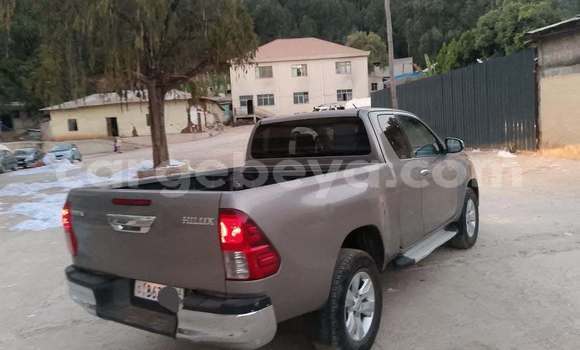 Buy Used Toyota Hilux Other Car in Addis–Ababa in Ethiopia Buy Used Toyota Hilux Other Car in Addis–Ababa in Ethiopia