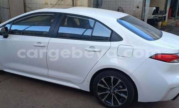 Buy Used Toyota Corolla White Car in Addis–Ababa in Ethiopia Buy Used Toyota Corolla White Car in Addis–Ababa in Ethiopia