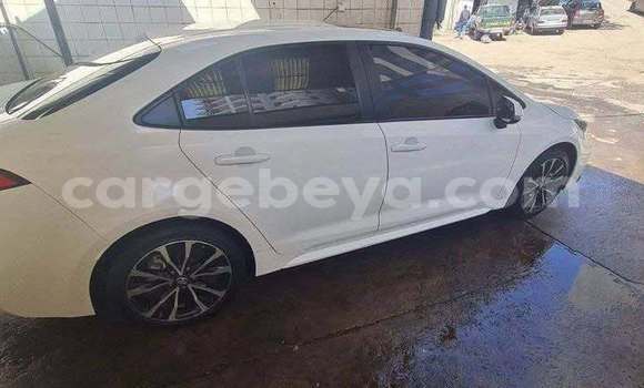 Buy Used Toyota Corolla White Car in Addis–Ababa in Ethiopia Buy Used Toyota Corolla White Car in Addis–Ababa in Ethiopia