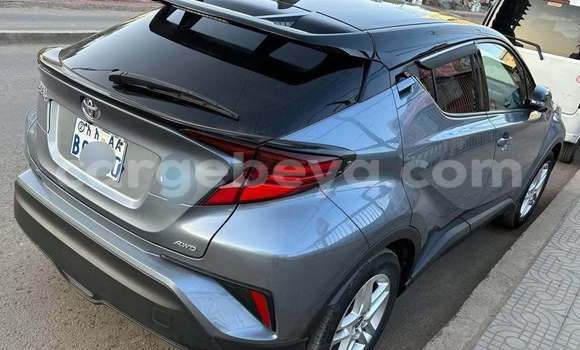 Buy Used Toyota C-HR Other Car in Addis–Ababa in Ethiopia Buy Used Toyota C-HR Other Car in Addis–Ababa in Ethiopia