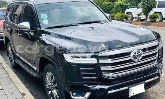 Acheter Occasion Voiture Toyota Land Cruiser Noir à Addis Ababa, Ethiopie Acheter Occasion Voiture Toyota Land Cruiser Noir à Addis Ababa, Ethiopie