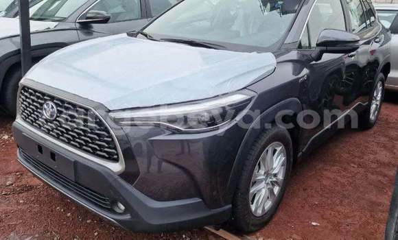 Buy Used Toyota Corolla Other Car in Addis–Ababa in Ethiopia Buy Used Toyota Corolla Other Car in Addis–Ababa in Ethiopia