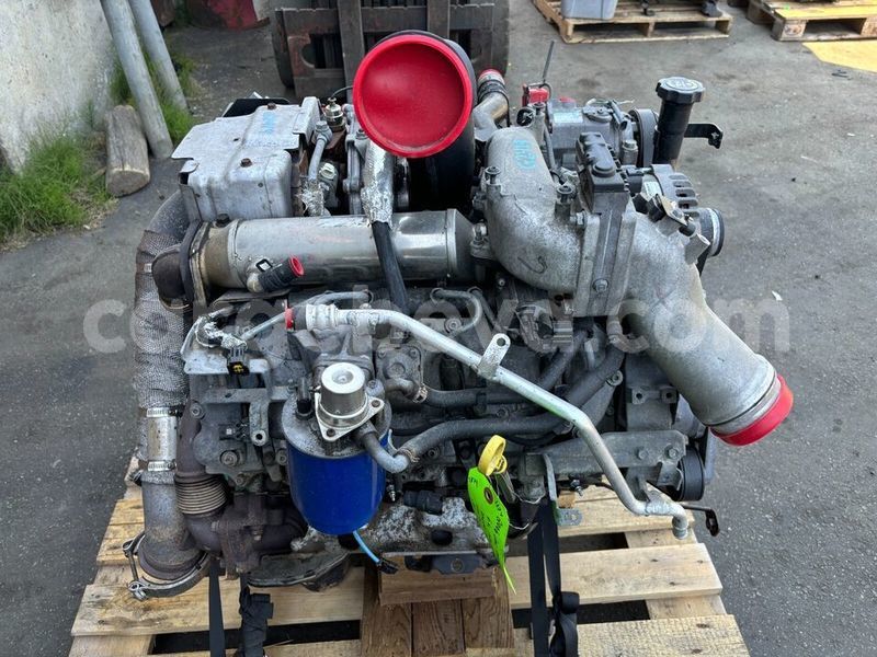 Big with watermark s l9604