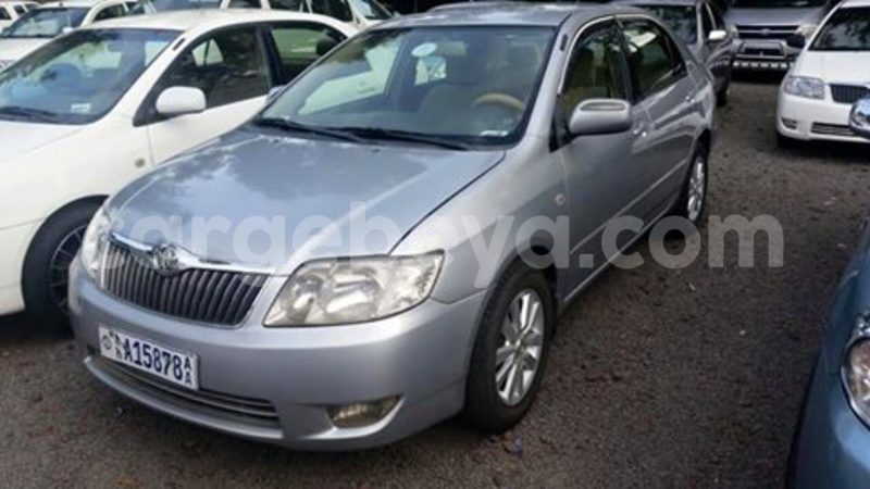 Big with watermark 14115442 1158200437569502 1585314225680065395 o