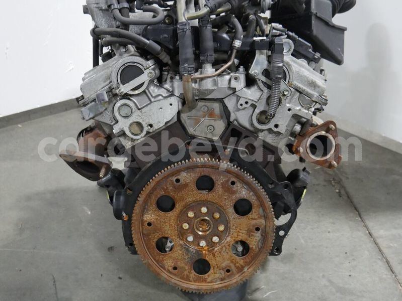 Big with watermark s l9608