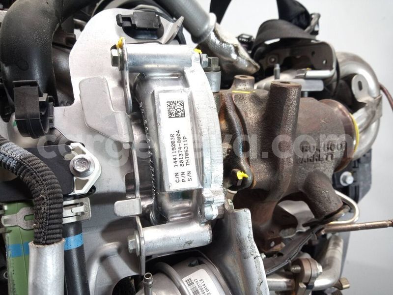 Big with watermark 0